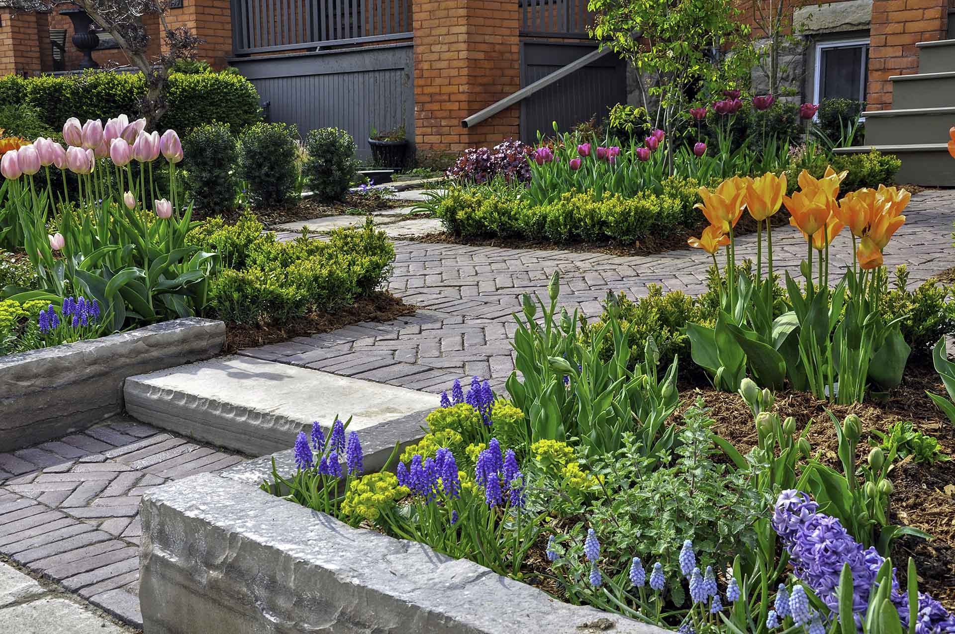 Plant Garden with Stone steps
